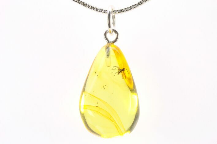 Polished Baltic Amber Pendant (Necklace) - Contains Fly! #288780